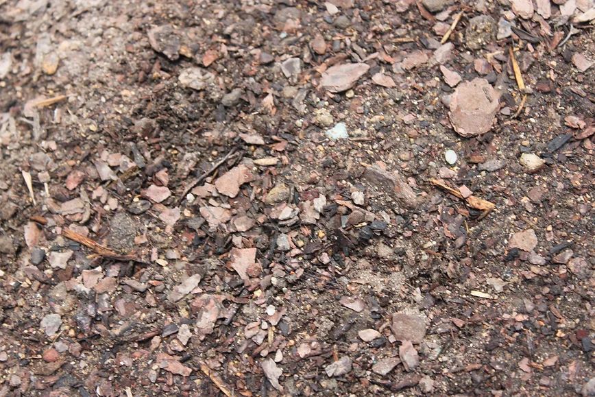 A Pile of Potting Mix on the Ground — Blue River Landscape Supplies in Foulden, QLD
