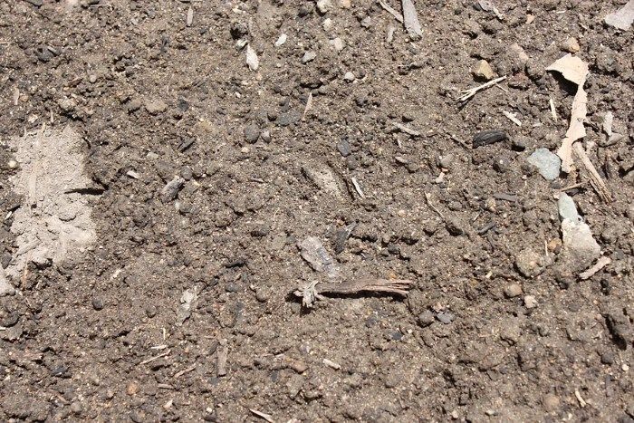 A Close Up of a Premium Garden Soil — Blue River Landscape Supplies in Foulden, QLD