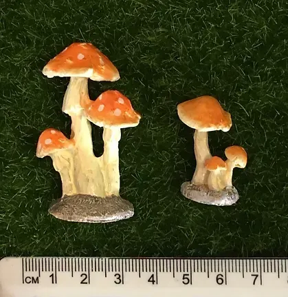 Two Miniature Mushrooms Are Being Measured by a Ruler — Blue River Landscape Supplies in Foulden, QLD