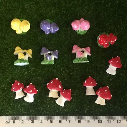 A Ruler is Next to a Bunch of Mushrooms and Flowers — Blue River Landscape Supplies in Foulden, QLD