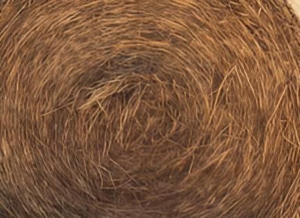 A Close Up of a Pile of Hay in a Circle — Blue River Landscape Supplies in Foulden, QLD