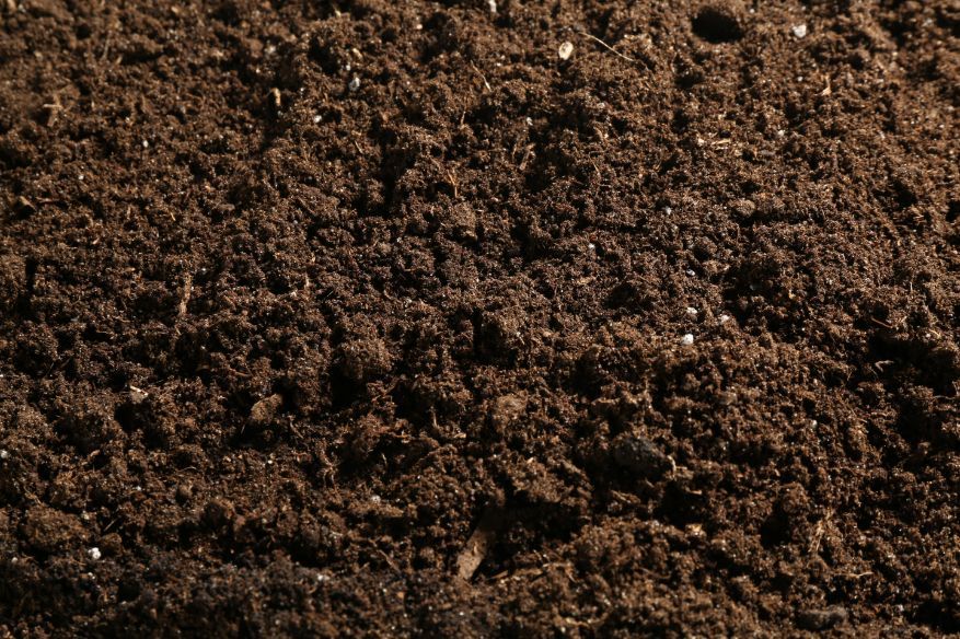 A Close Up of a Pile of Brown Soil — Blue River Landscape Supplies in Foulden, QLD
