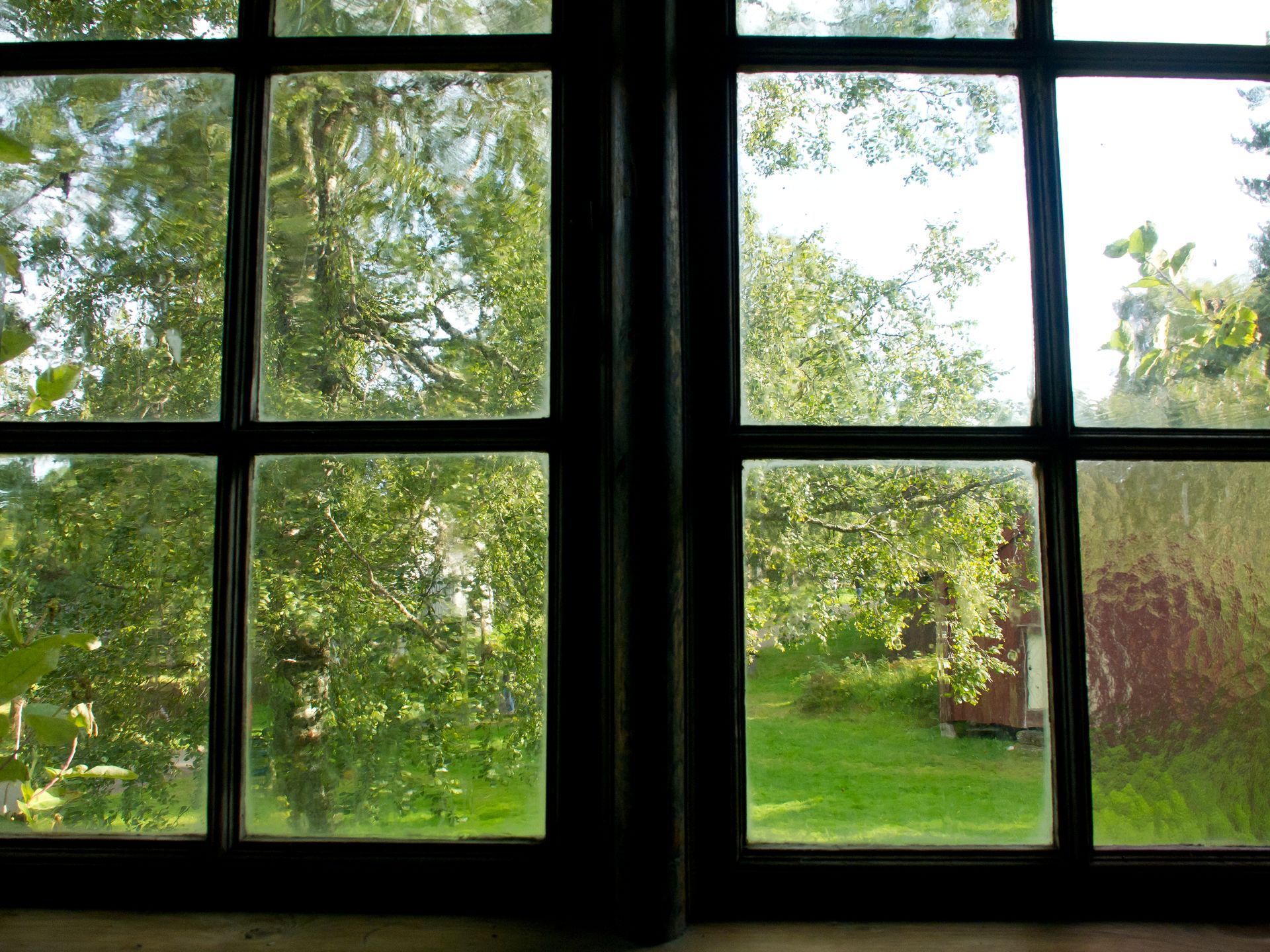 View through a dark-framed window of green trees and grass, on a sunny day.