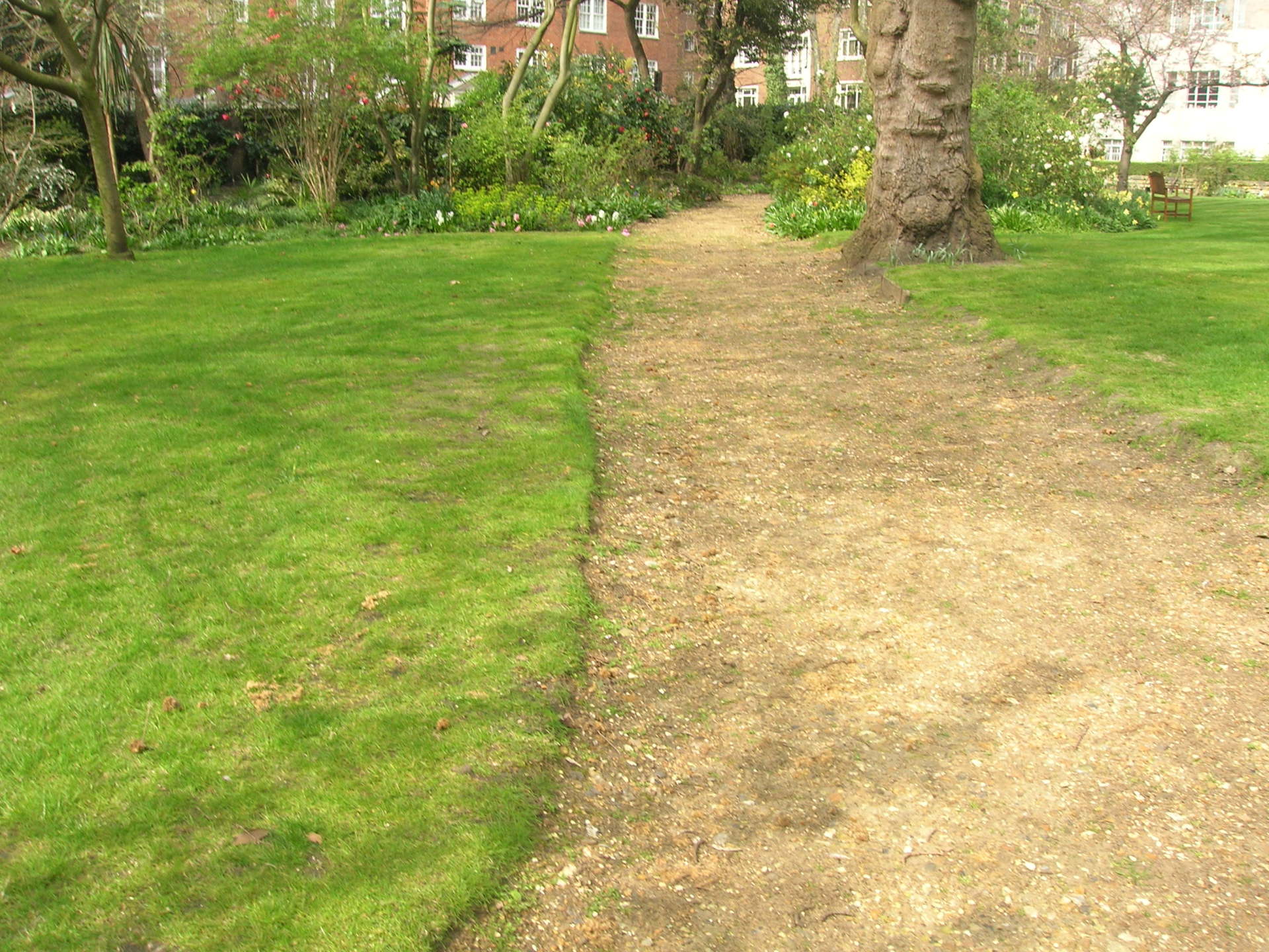 garden and landscapes