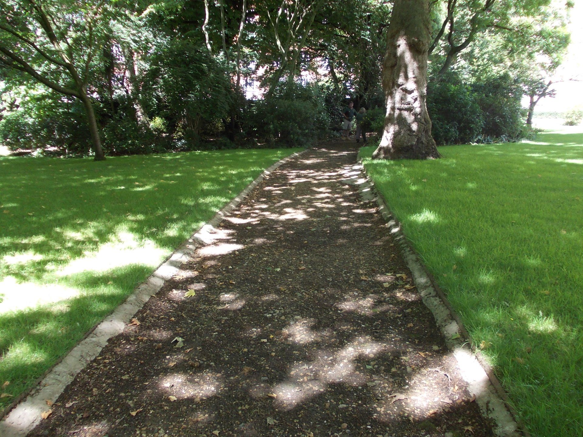 garden and landscapes