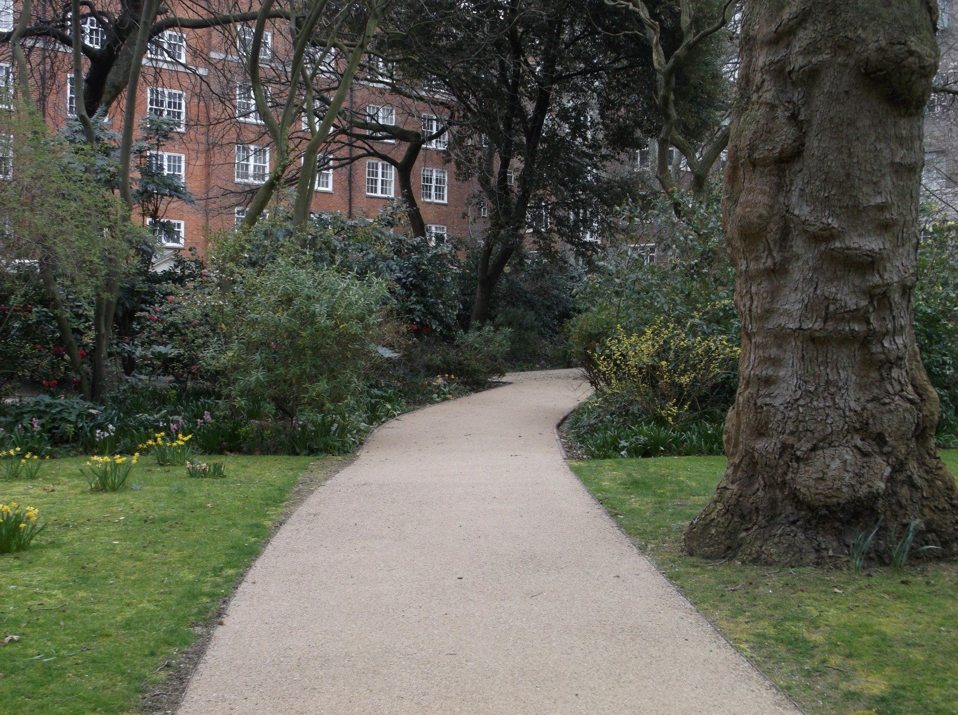 garden and landscapes