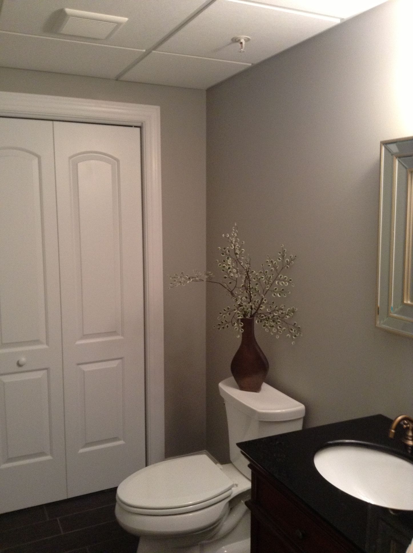 A bathroom with a toilet a sink and a mirror