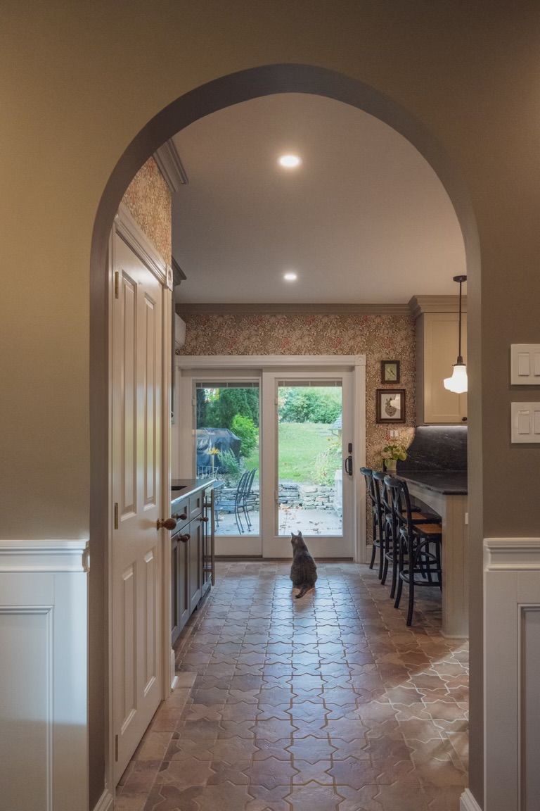 A cat is sitting in a hallway looking out a sliding glass door
