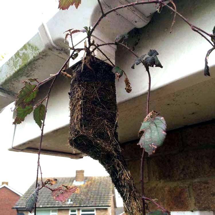 Gutter completely blocked and over flowing/leaking because of no maintenance