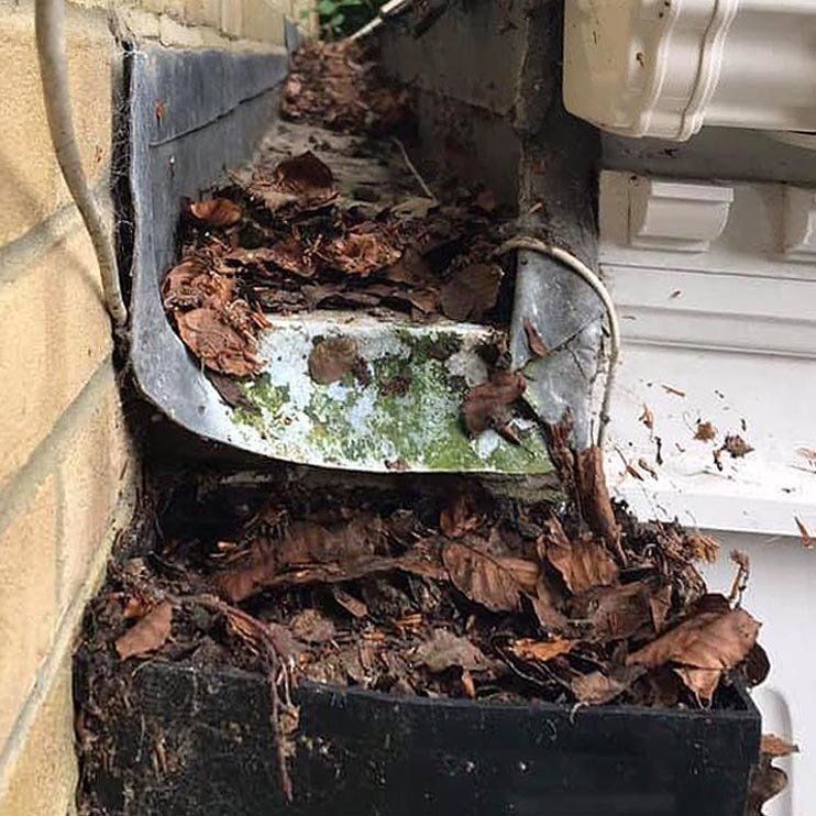 Blocked box gutter to this conservatory causing it to leak, Sevonoaks, Kent