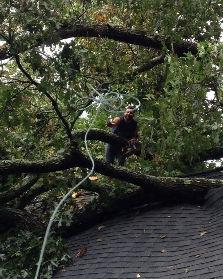 Man on tree branch, cutting it with a chainsaw, resting on a rooftop, overcast sky.