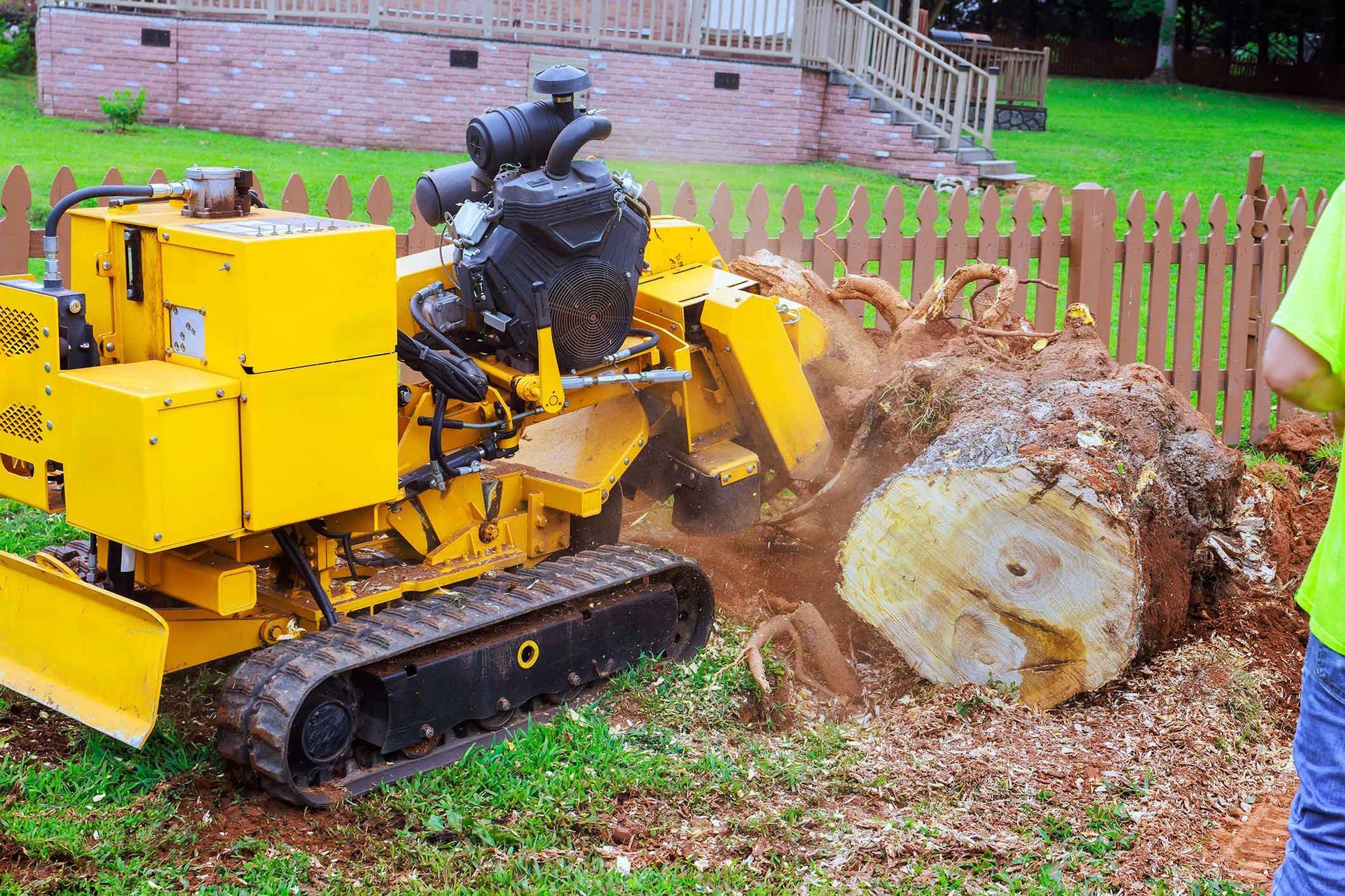 Yellow stump grinder grinding a tree stump in a yard next to a wooden fence.