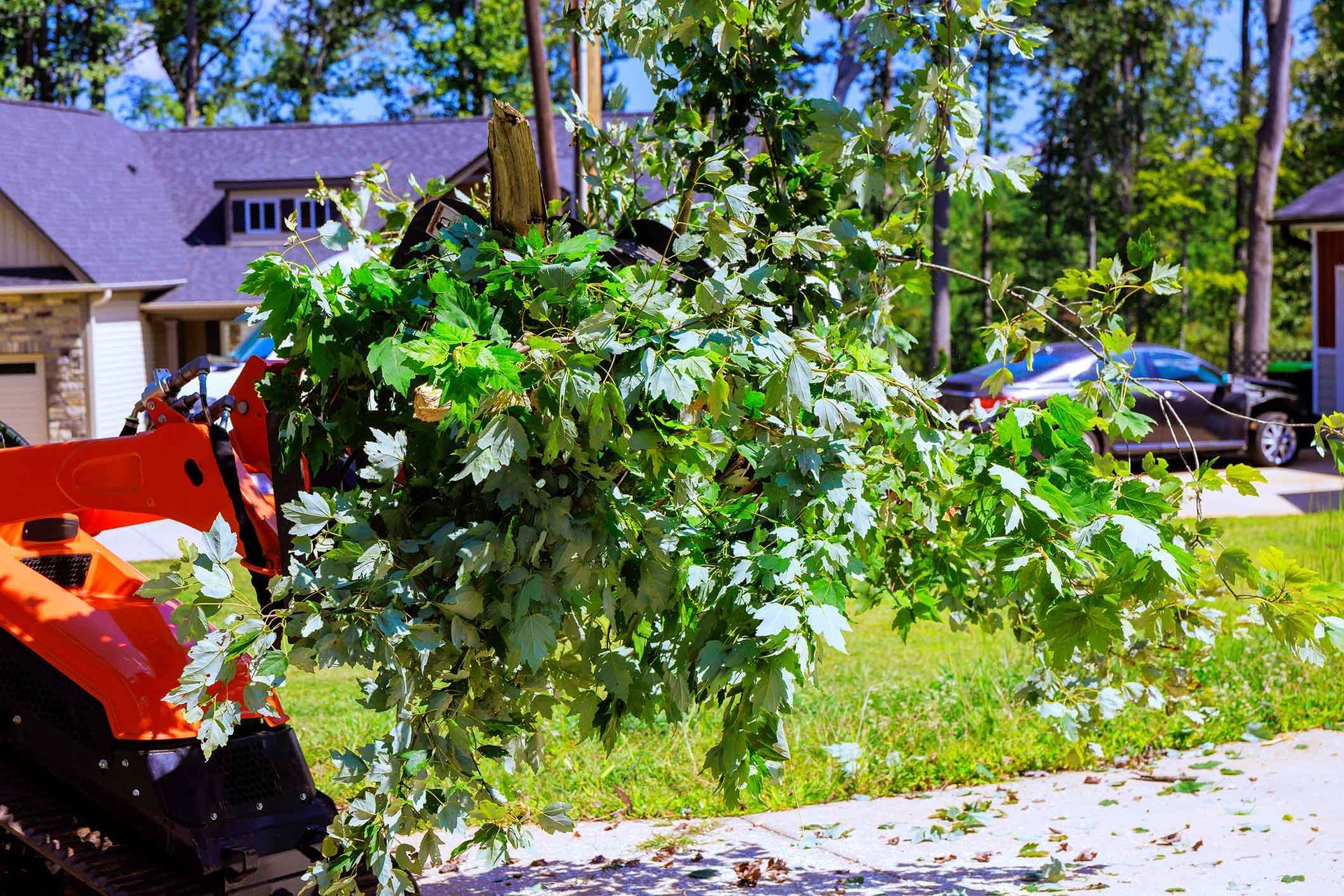 Orange machine lifting a large pile of green tree branches on a sunny lawn. Houses and cars in the background.