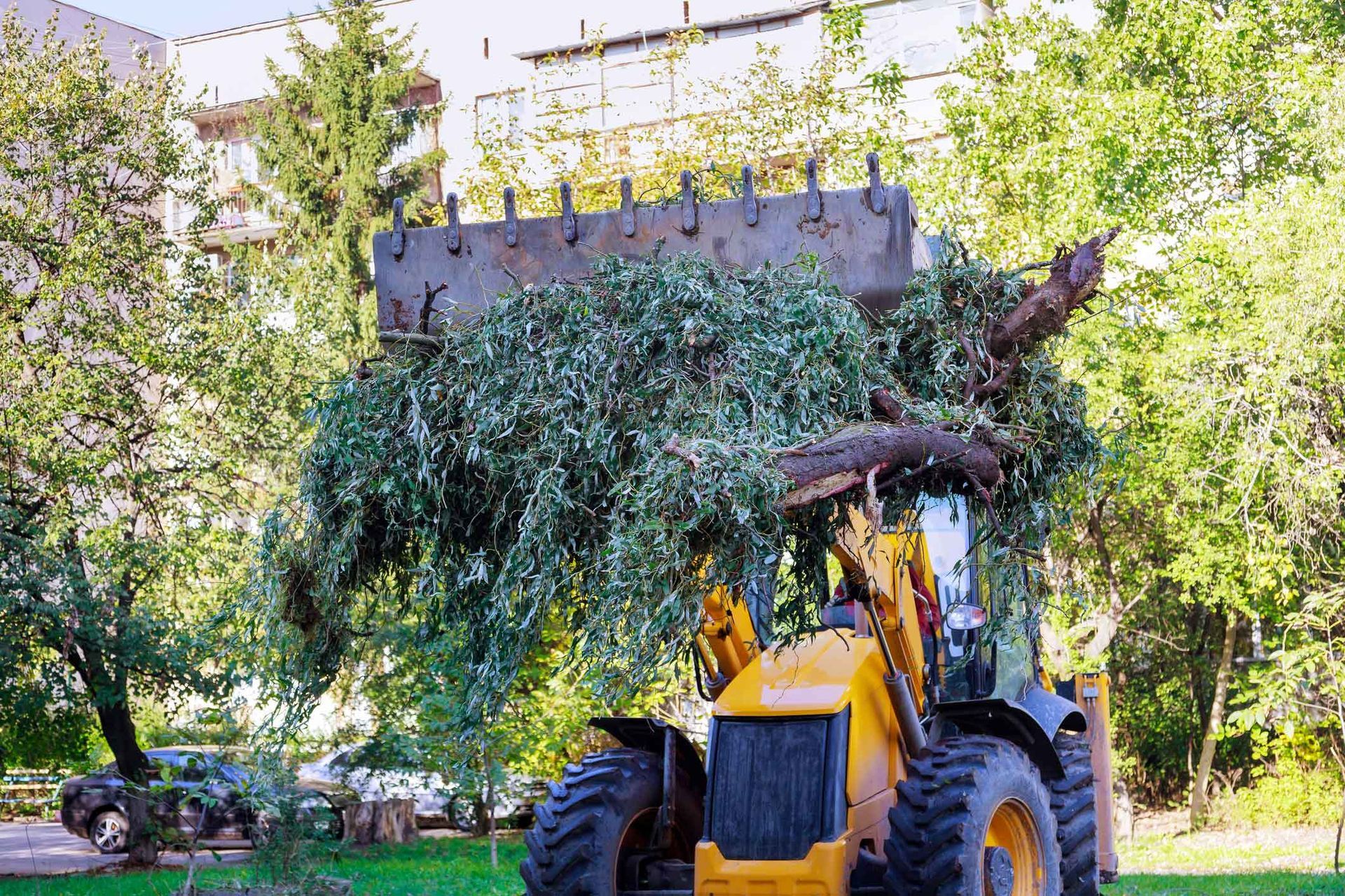 Yellow backhoe scoops up leafy green tree branches in a sunny park setting.