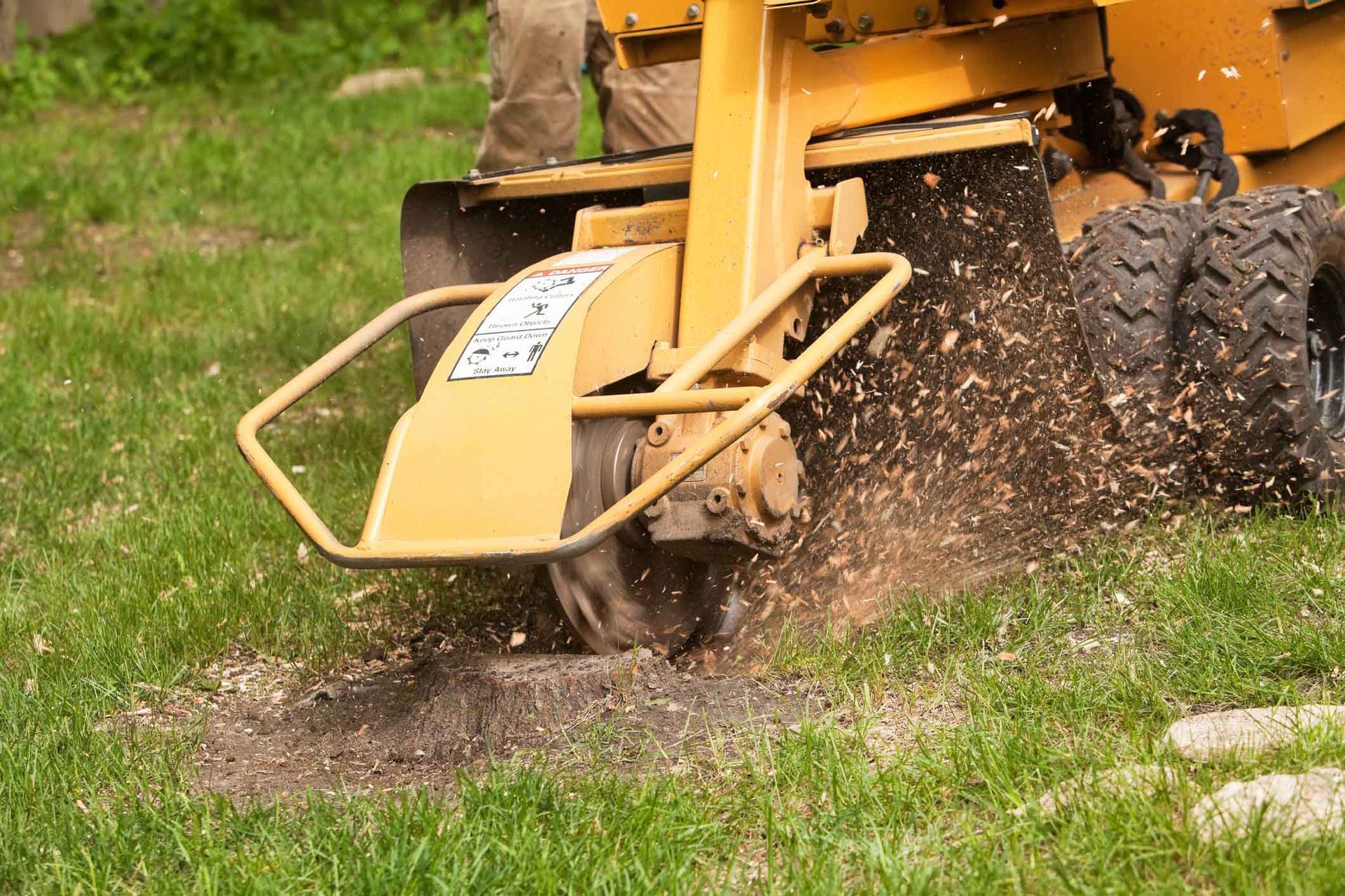 Yellow stump grinder pulverizes wood into mulch on green grass.
