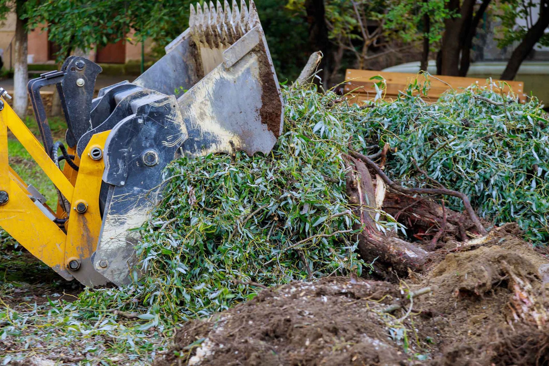 Yellow excavator bucket scooping up tree branches and roots.