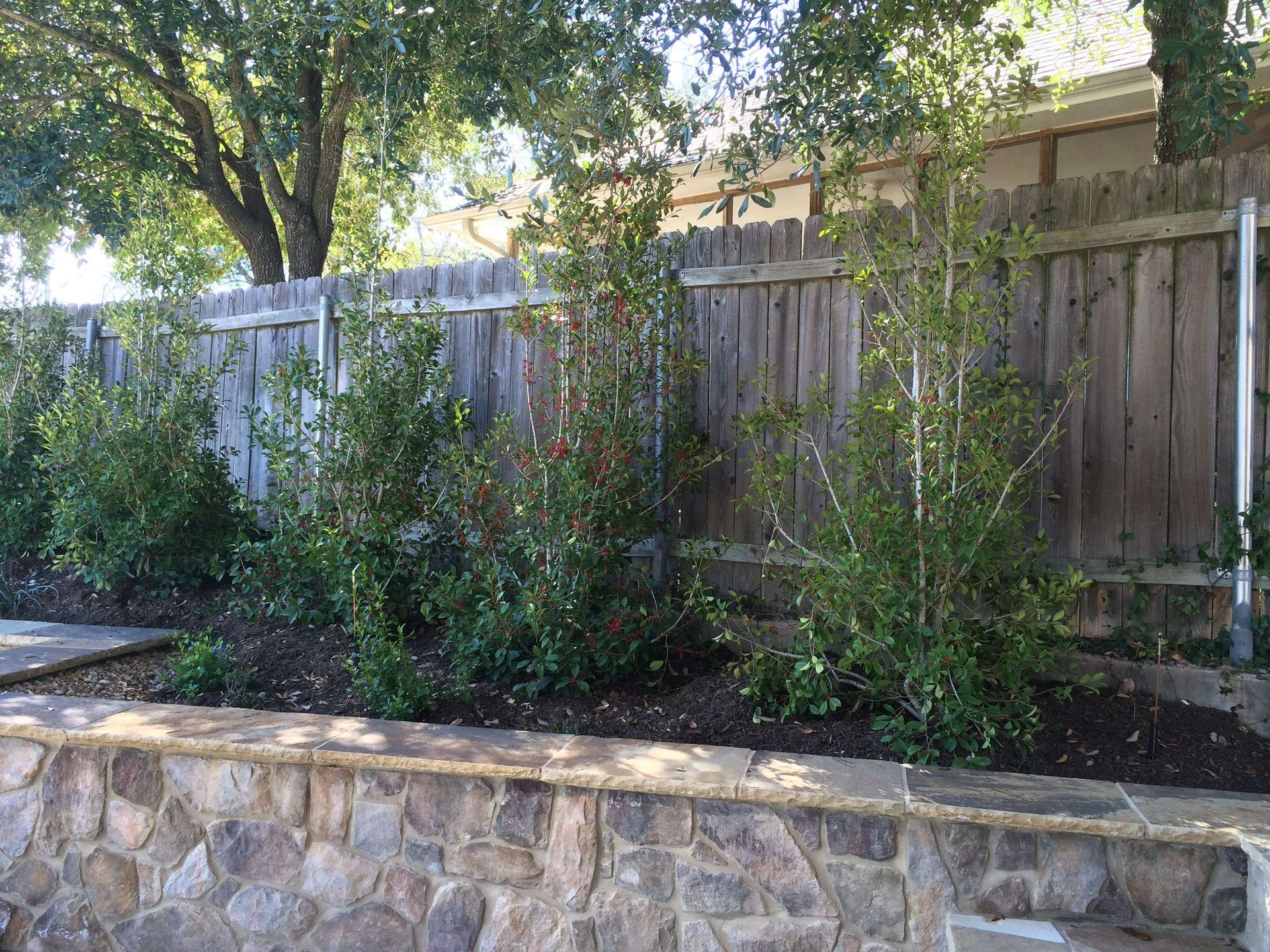 A wooden fence is surrounded by bushes and a stone wall.