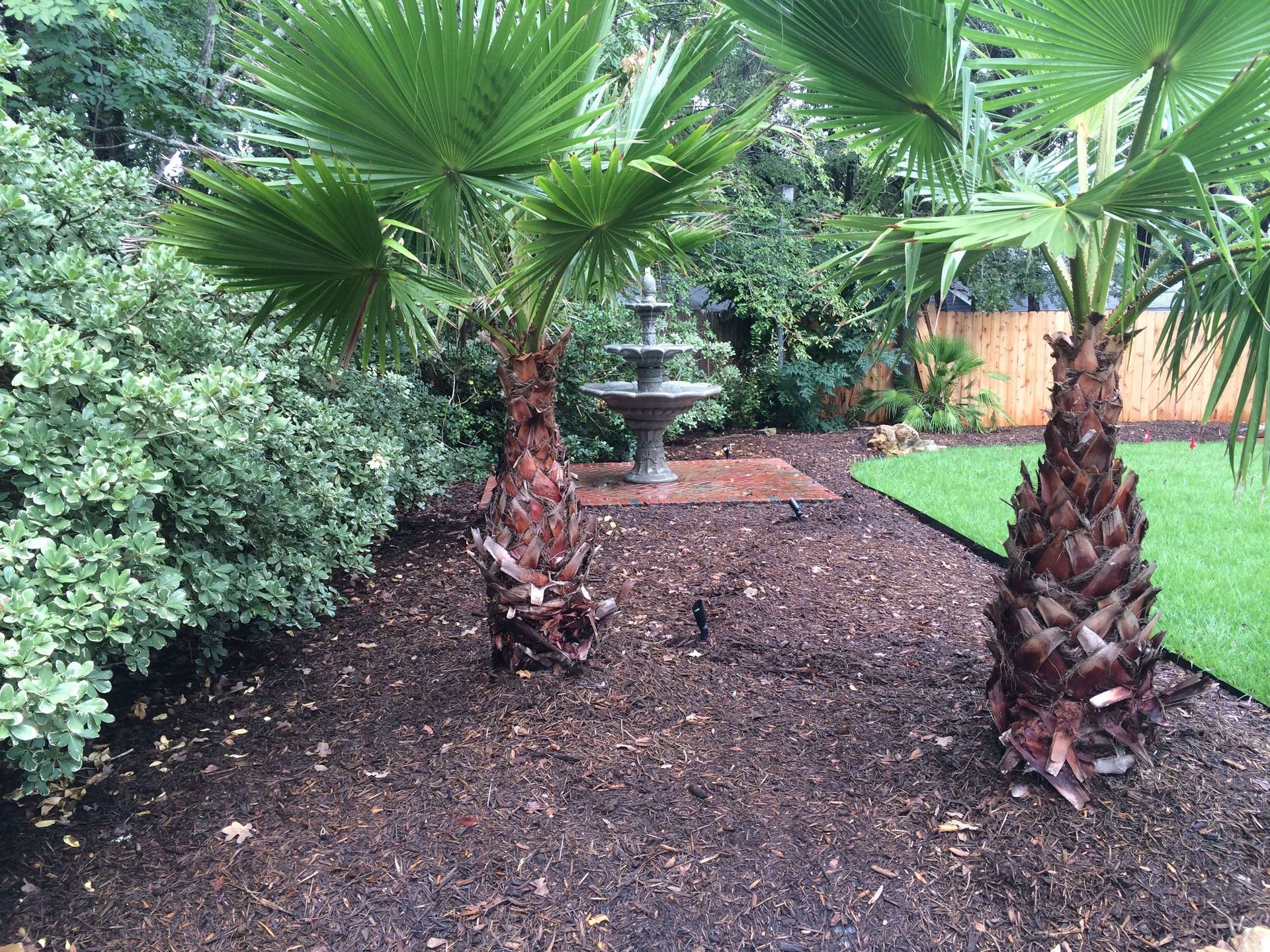 Two palm trees are sitting next to a fountain in a garden.