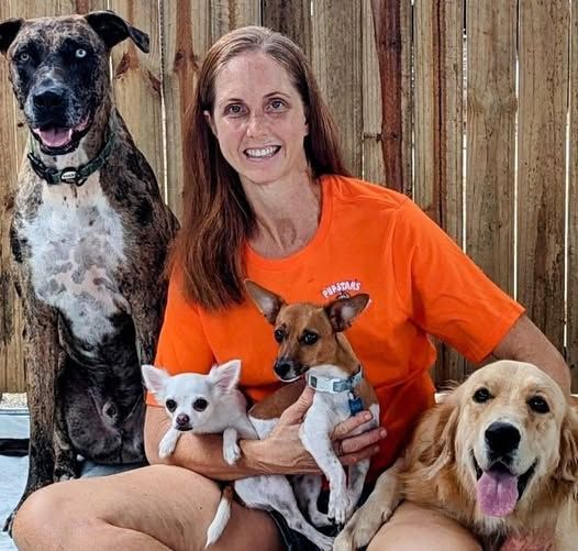 White Dog Covered in Fur on a Wood Floor Near a Chair — Snippittys in Manoora, QLD