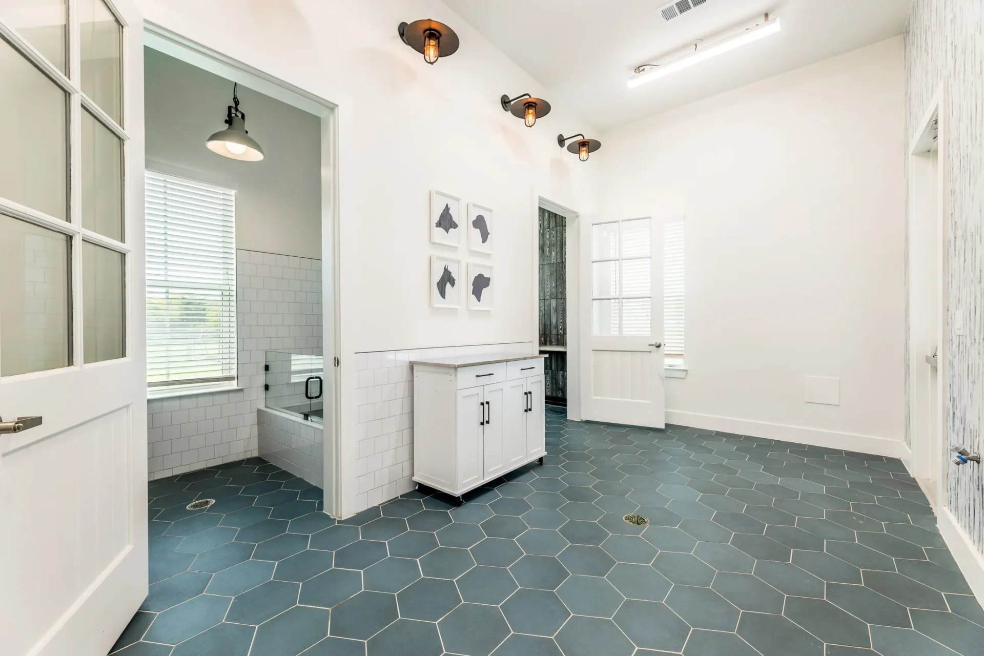 Pet spa area with dog wash tub and grooming station