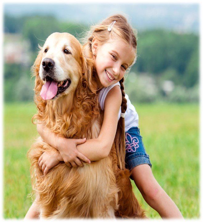 Little Girl Hugging Her Dog — Deerfield Beach, FL — Blade & Blade P.A.
