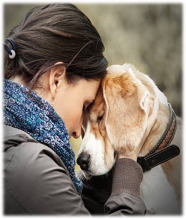 Girl Embracing Dog — Deerfield Beach, FL — Blade & Blade P.A.
