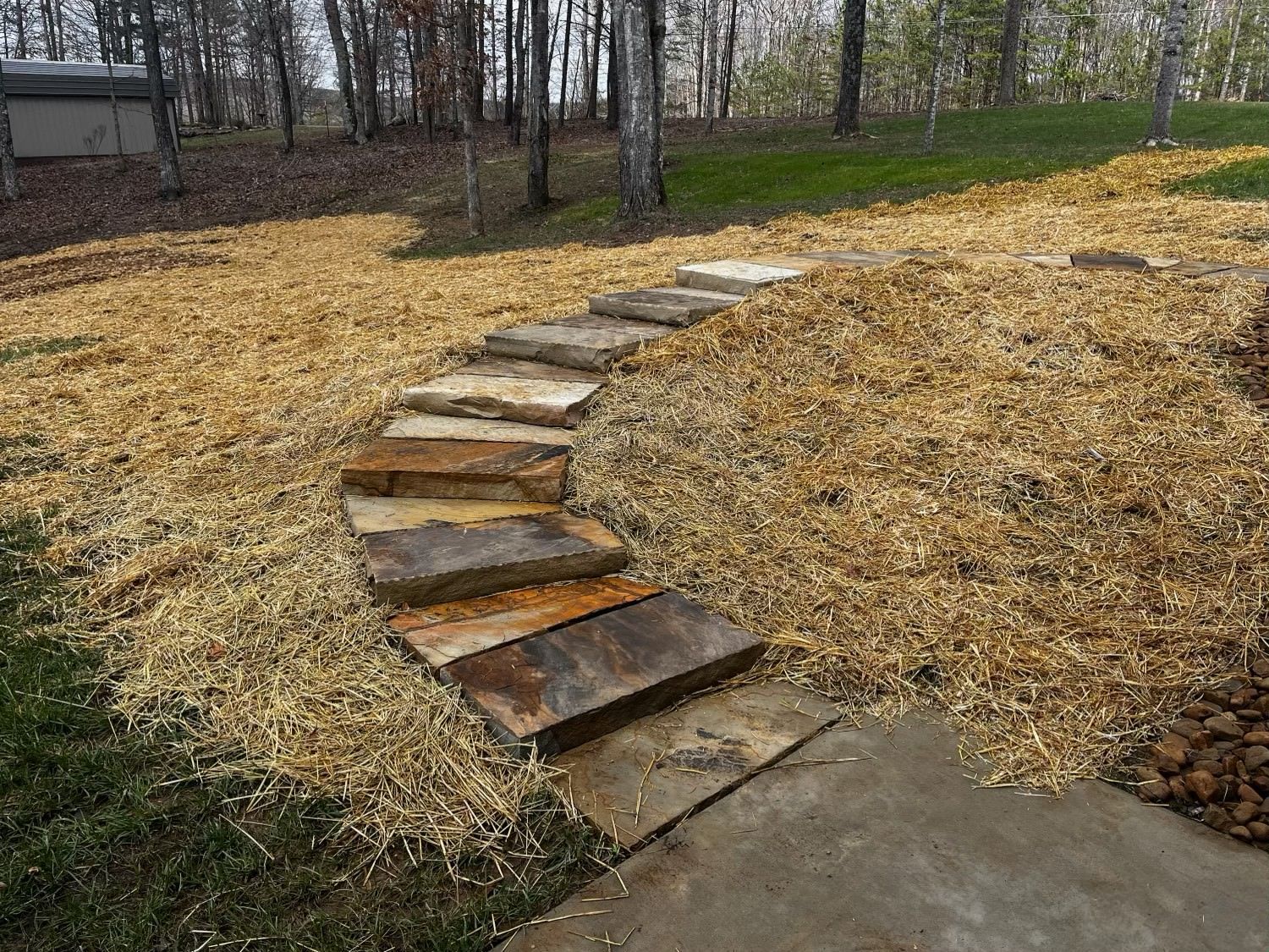 A stone walkway is surrounded by mulch and trees in a backyard.