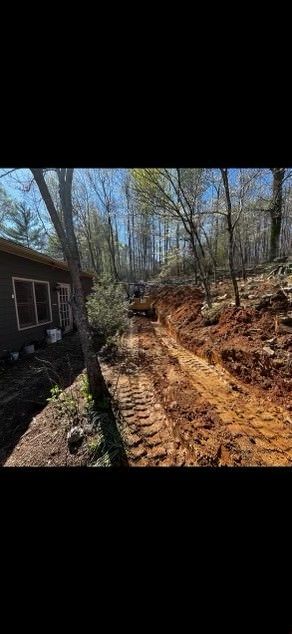 A dirt road leading to a house in the woods.