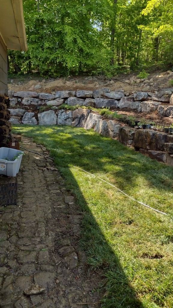 A yard with a lot of grass and rocks and a house in the background.