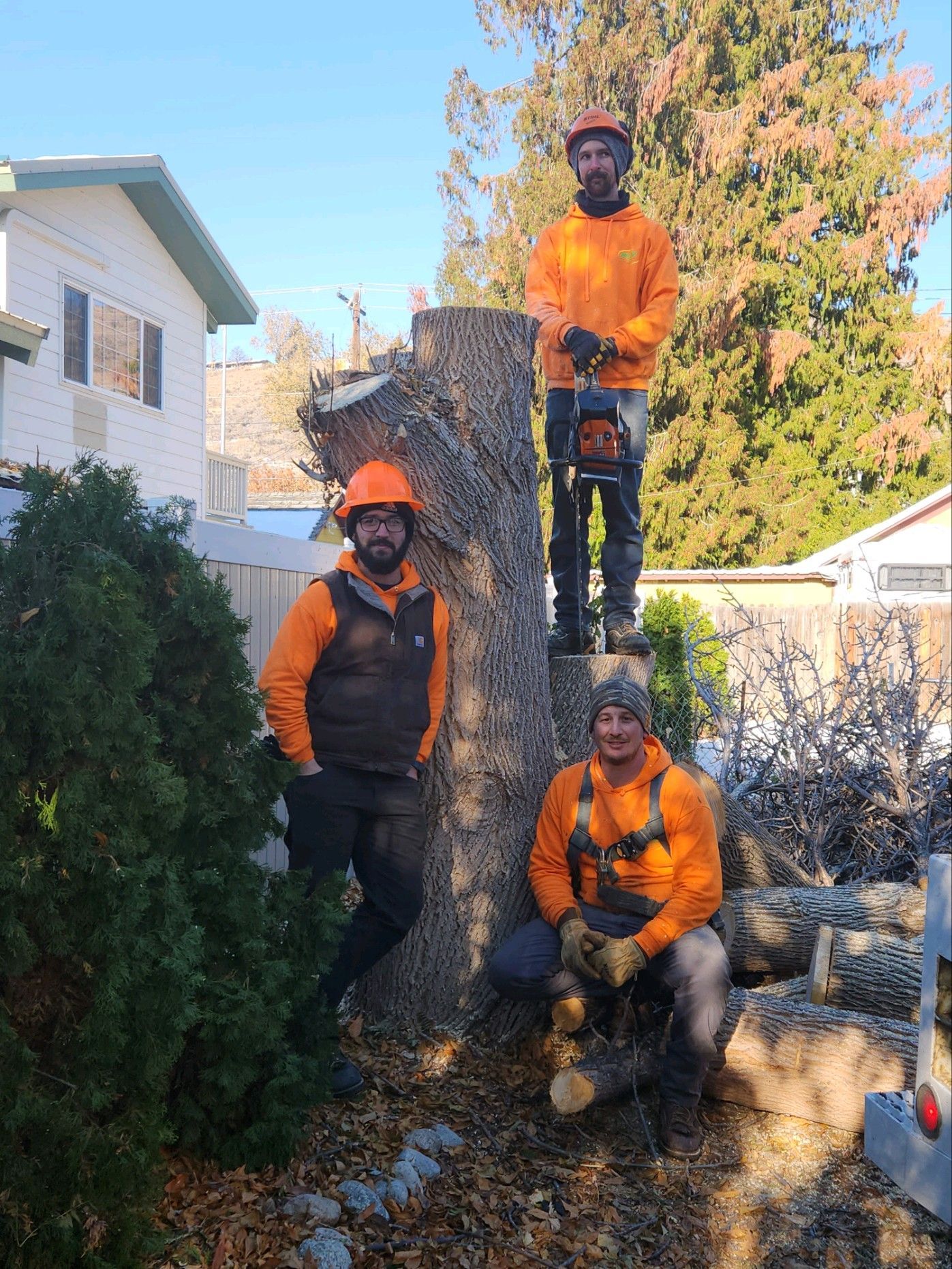 Tree Services | Chelan, Washington
