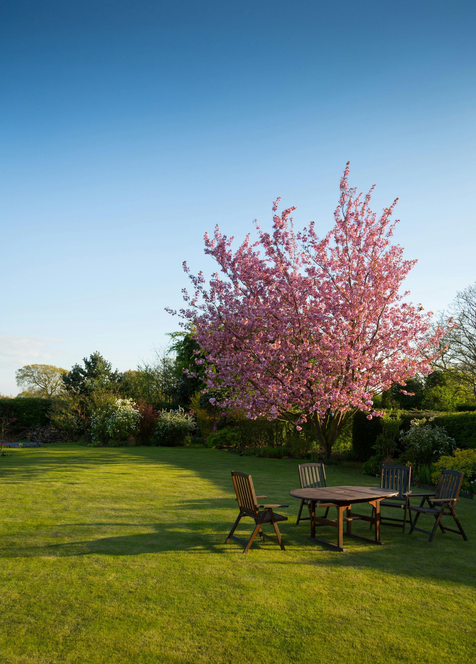 Een tafel en stoelen in een tuin met een kersenbloesemboom op de achtergrond.