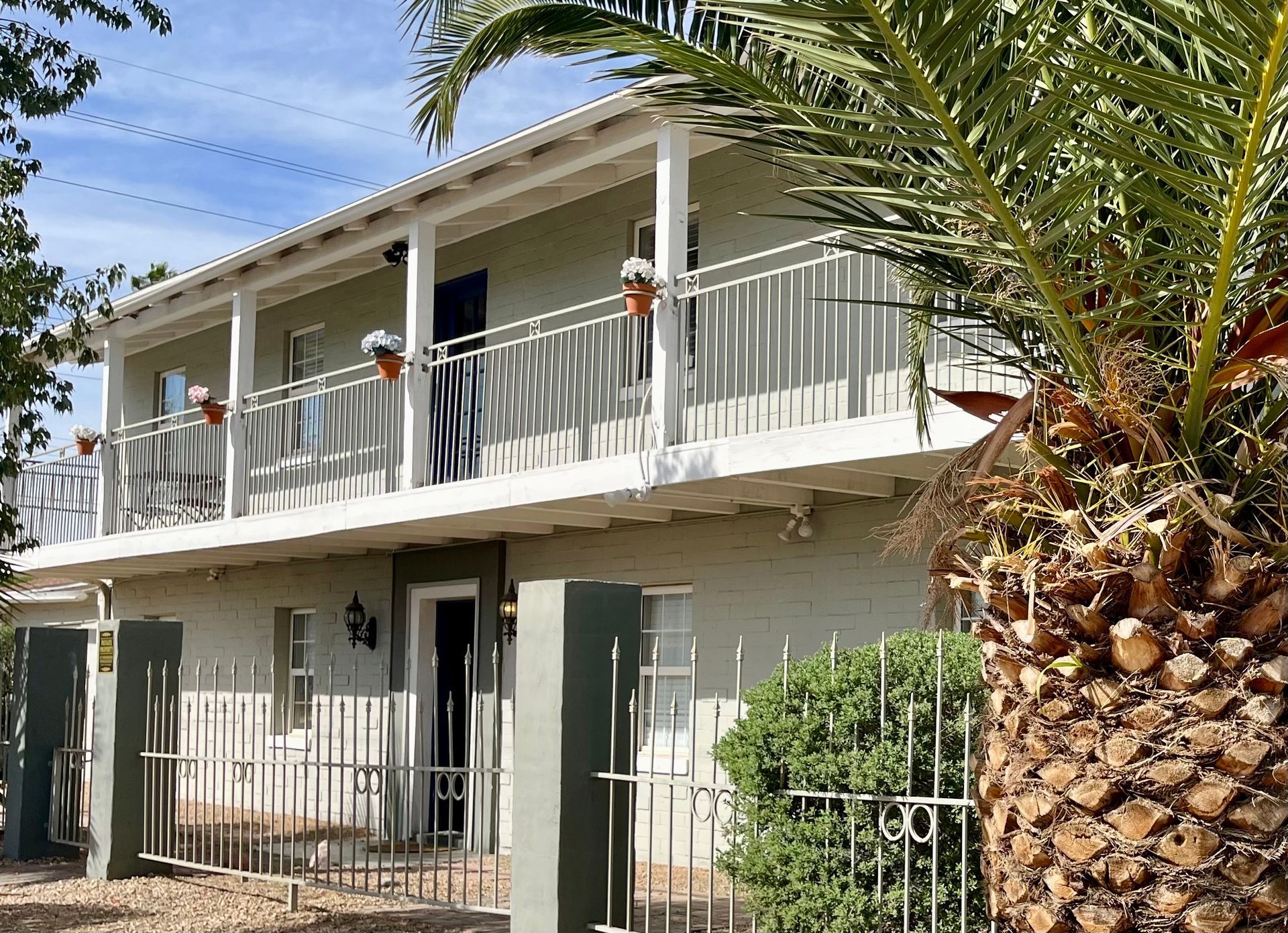 A white house with a palm tree in front of it
