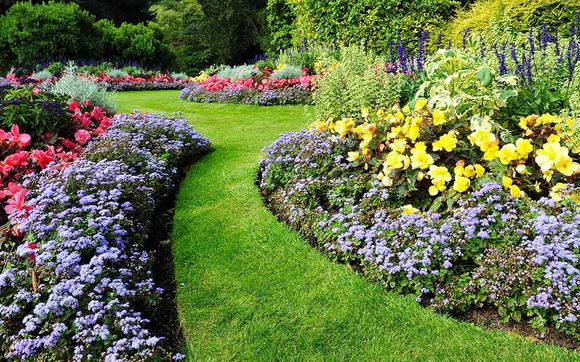 garden full of flowers