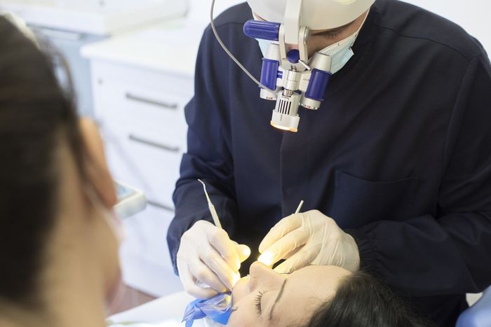 Dr. Dario Brady Bucci