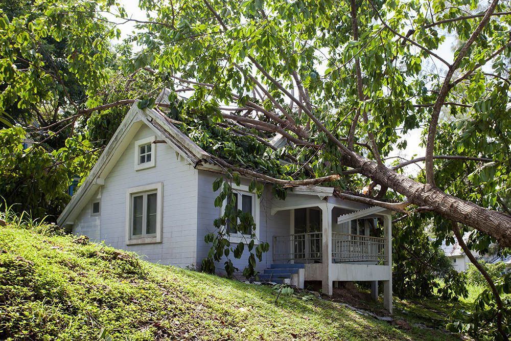 A white house with a tree fallen on it.