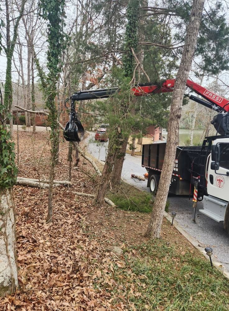 A crane is lifting a tree in a yard.