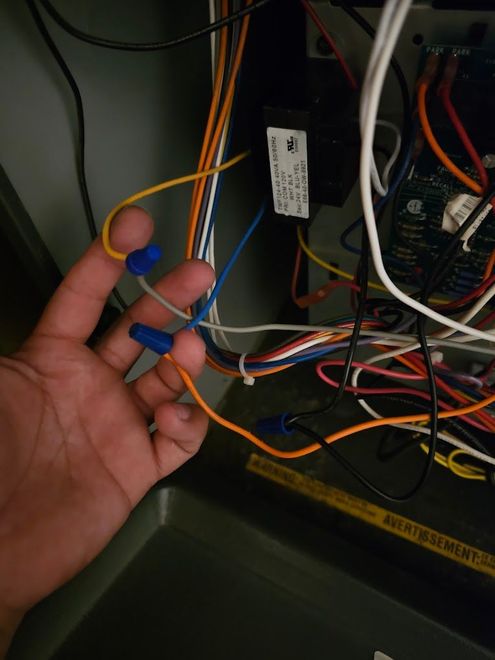 A person is holding a bunch of wires in their hand.
