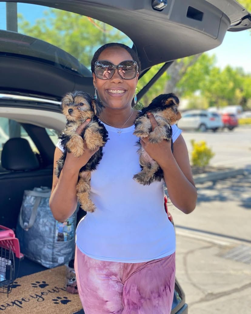 A woman is holding two puppies in her arms in the back of a car.