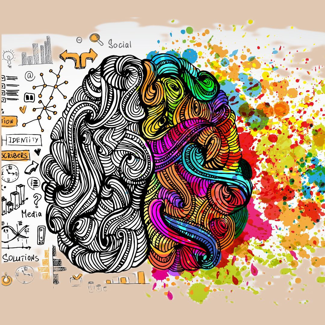 a drawing of a brain with a black and white design and a colorful design .