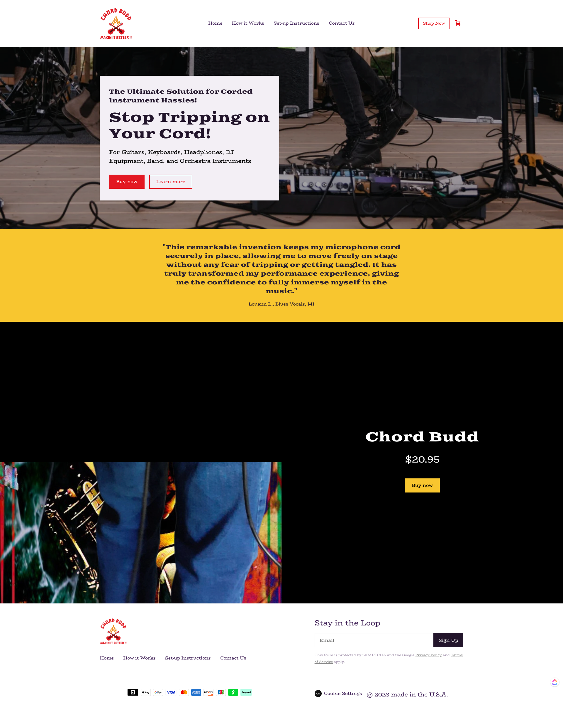 A screenshot of a website showing a person playing a guitar on a stage.