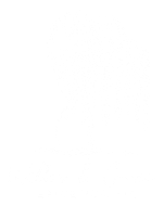 Willow and Grace Aesthetics, LLC