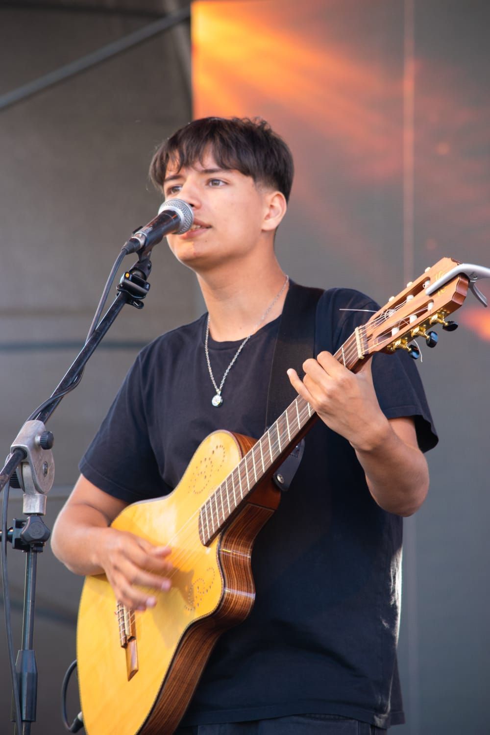 Persona tocando la guitarra acústica y cantando frente al micrófono en el escenario.