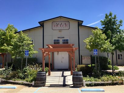 Quaint white cottage-style winery in Agua Dulce, its rustic wooden porch wrapped by sun-drenched vineyards