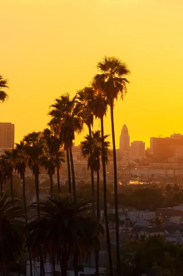 Hard Money Lender Los Angeles offers flexible financing options tailored for real estate investors in the vibrant and ever-growing Los Angeles market.