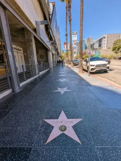 Hollywood Walk of Fame stars embedded in the sidewalk under bright sunlight, with tourists walking nearby