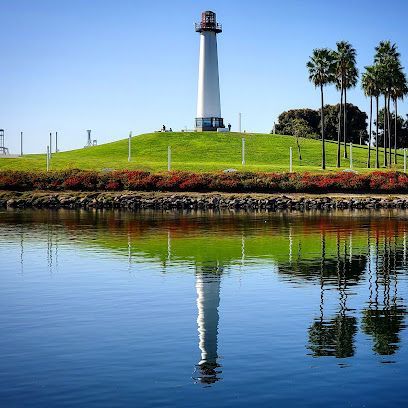 White Lions Lighthouse standing tall against a bright blue sky, with sunlight glinting off its coastal observation deck