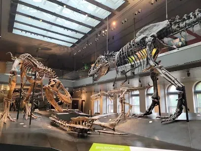 Two towering dinosaur skeletons on display at Natural History Museum, with visitors gazing up in awe