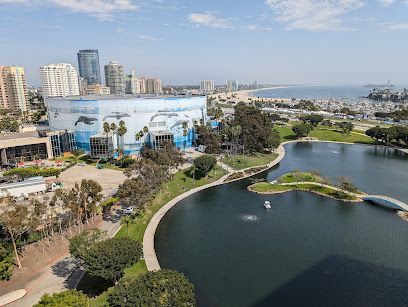 Serene Rainbow Lagoon Park under sunny skies, with palm trees reflecting in the calm turquoise waters