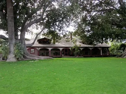 Sun-dappled adobe ranch house with vibrant native gardens, shaded by ancient pepper trees at Rancho Los Alamitos