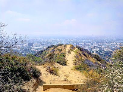 Sunlit hiking trails at Runyon Canyon Park under a bright blue sky, with panoramic views of Los Angeles